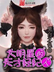 大明星与经纪人的