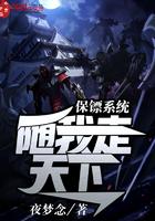 保镖系统排行榜