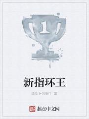 新指环王