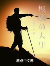 极致的人生之上半生日记