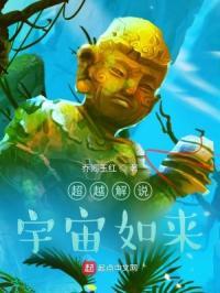 超越解说宇宙如来