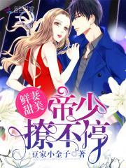 鲜妻甜美:帝少,撩不停!