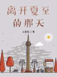 离开夏至的那天