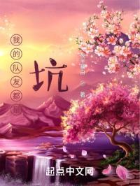 我的队友都是坑