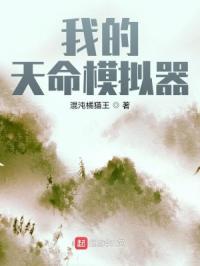 我的天命模拟器