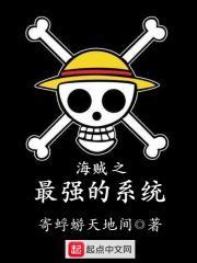 海贼之最强的系统