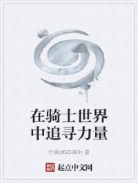 在骑士世界中追寻力量