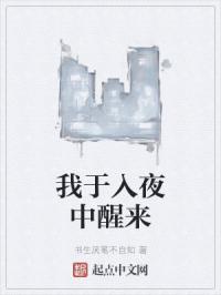 我于入夜中醒来