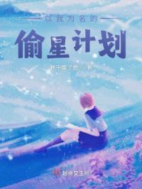 以我为名的偷星计划