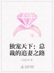 独宠天下:总裁的追妻之路