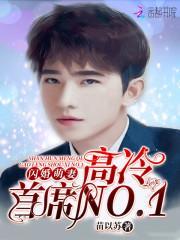 闪婚萌妻:高冷首席NO.1