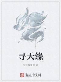 寻天缘