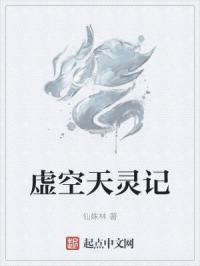 虚空天灵记