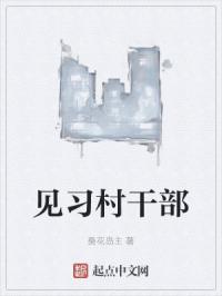 见习村干部