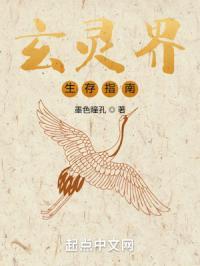 玄灵界生存指南