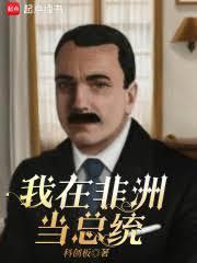 我在非洲当总统