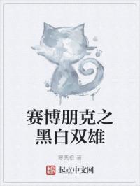 赛博朋克之黑白双雄