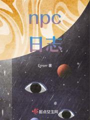 npc日志