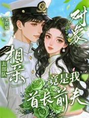 去部队相亲,对象竟是我首长前夫