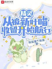 精灵：从被新叶喵收留开始航行