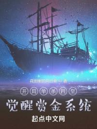 开局单杀四皇，觉醒赏金系统