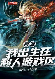 网游:我出生在敌人游戏区