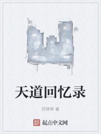 天道回忆录