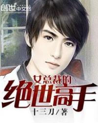 女总裁的绝世高手