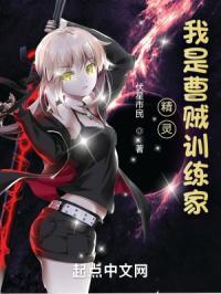 精灵:我是曹贼训练家