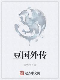 豆国外传