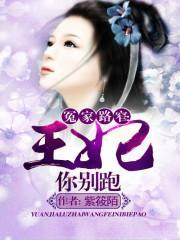 冤家路窄:王妃你别跑