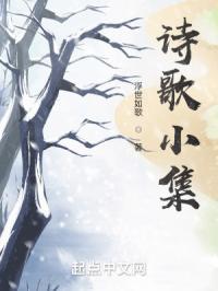 诗歌小集
