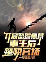 开局怒揭黑幕，重生后整顿官场