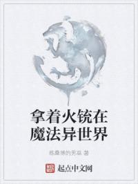 拿着火铳在魔法异世界
