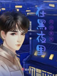 在黑夜里闪闪发光