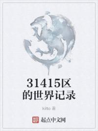 31415区的世界记录