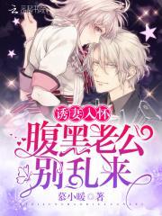 诱妻入怀:腹黑老公,别乱来!