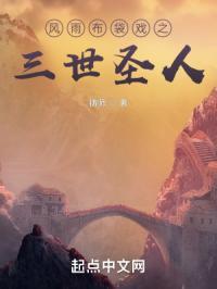 风雨布袋戏之三世圣人