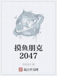 摸鱼朋克2047