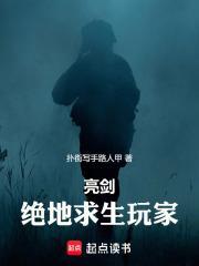 亮剑：绝地求生玩家