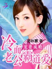 宠妻成瘾:冷面老公霸道爱