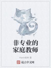 非专业的家庭教师