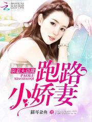 误惹大总裁:跑路小娇妻