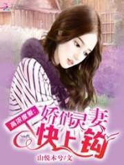 高浓度爱:娇俏灵妻快上钩