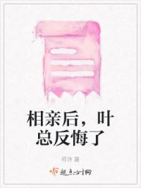 相亲后，叶总反悔了