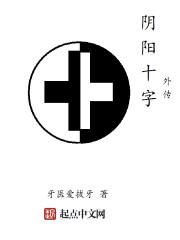 阴阳十字外传