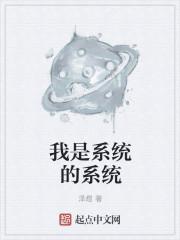 我是系统的系统