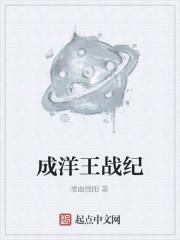 成洋王战纪