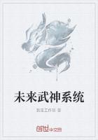未来武神系统